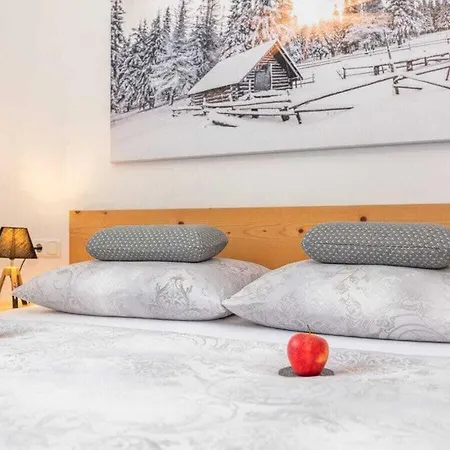 Maximilian Apartmenthaus 2-6 People Holiday home Neukirchen am Grossvenediger